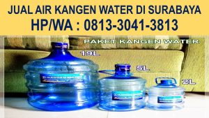 Jual Air Kangen Di Surabaya Manyar
