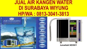 Jual Air Kangen Di Surabaya Wiyung