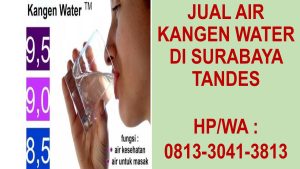Jual Air Kangen Di Surabaya ITC